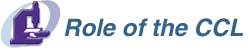 Role of the CCL