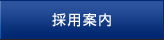 �̗p�ē�