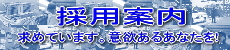 �̗p�ē�