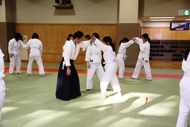 Picture7:Aikido