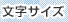 �����T�C�Y