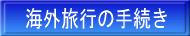 �C�O���s�̎葱��