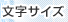 �����T�C�Y