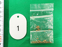 透明ポリ袋に入った大麻 透明ポリ袋に入った大麻