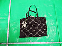 ���򂪉B������Ă����n���h�o�b�O