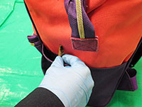 ����̉B����