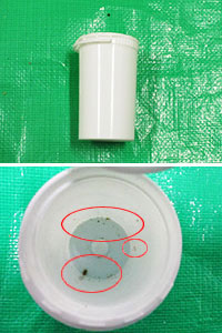 �P�[�X���ɉB�����ꂽ�喃