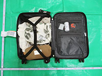 �X�[�c�P�[�X���J�����l�q