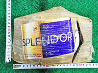 ����ł���R�J�C���������Ă����Y�����i���ʁj