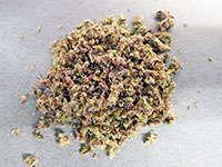 麻薬である大麻 麻薬である大麻