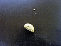 指定薬物を含む錠剤 指定薬物を含む錠剤