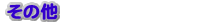 ���̑�