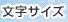 �����T�C�Y