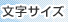�����T�C�Y