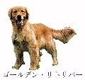 �ʐ^�F�S�[���f�����g���o�[