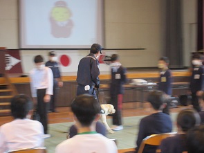 写真:麻薬探知犬によるデモンストレーション