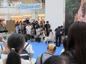 鹿児島空港出張所空の日フェスタの様子A