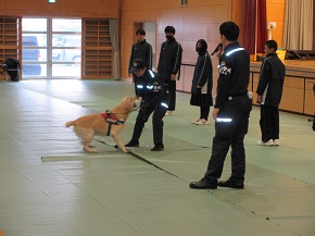 麻薬探知犬によるデモンストレーションの様子