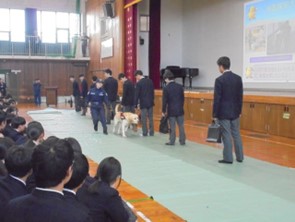 麻薬探知犬によるデモンストレーションの様子