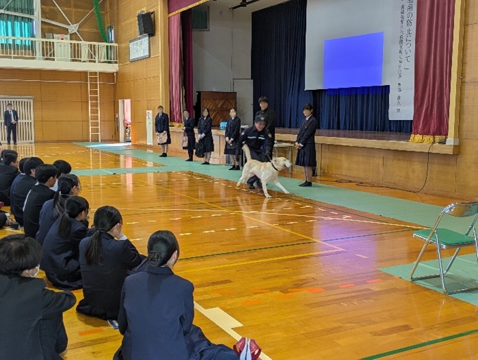 麻薬探知犬によるデモンストレーションの様子