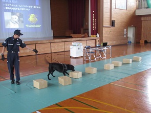 麻薬探知犬によるデモンストレーション