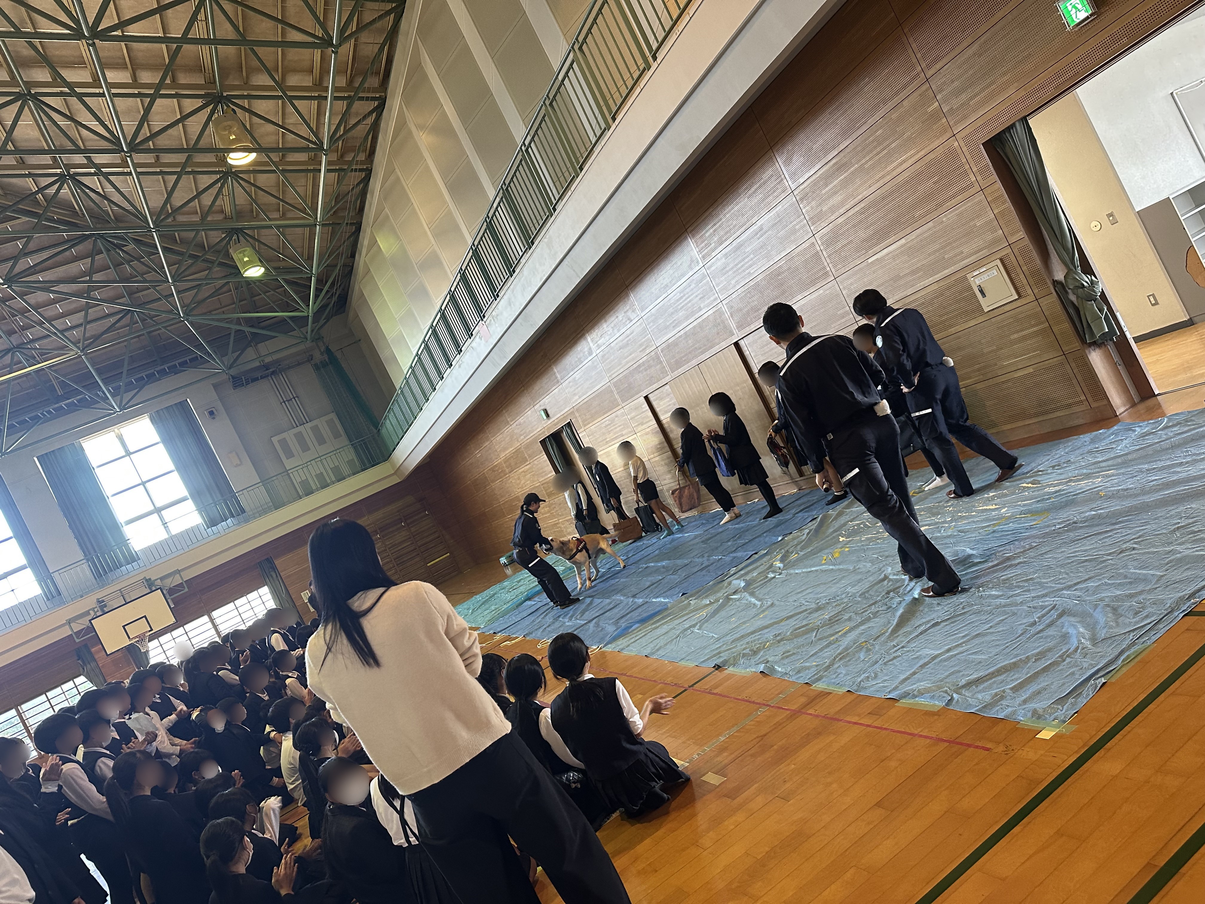 麻薬探知犬によるデモンストレーションの様子