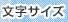 �����T�C�Y