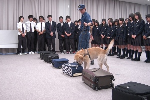 デモンストレーションの様子