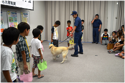 デモンストレーション