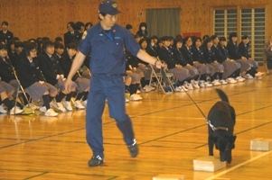 デモンストレーションの様子