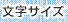 �����T�C�Y