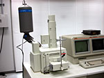 Picture:Scanning Electron Microscope