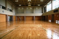 Picture15:Gymnasium