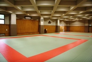 Picture17:Judo hall