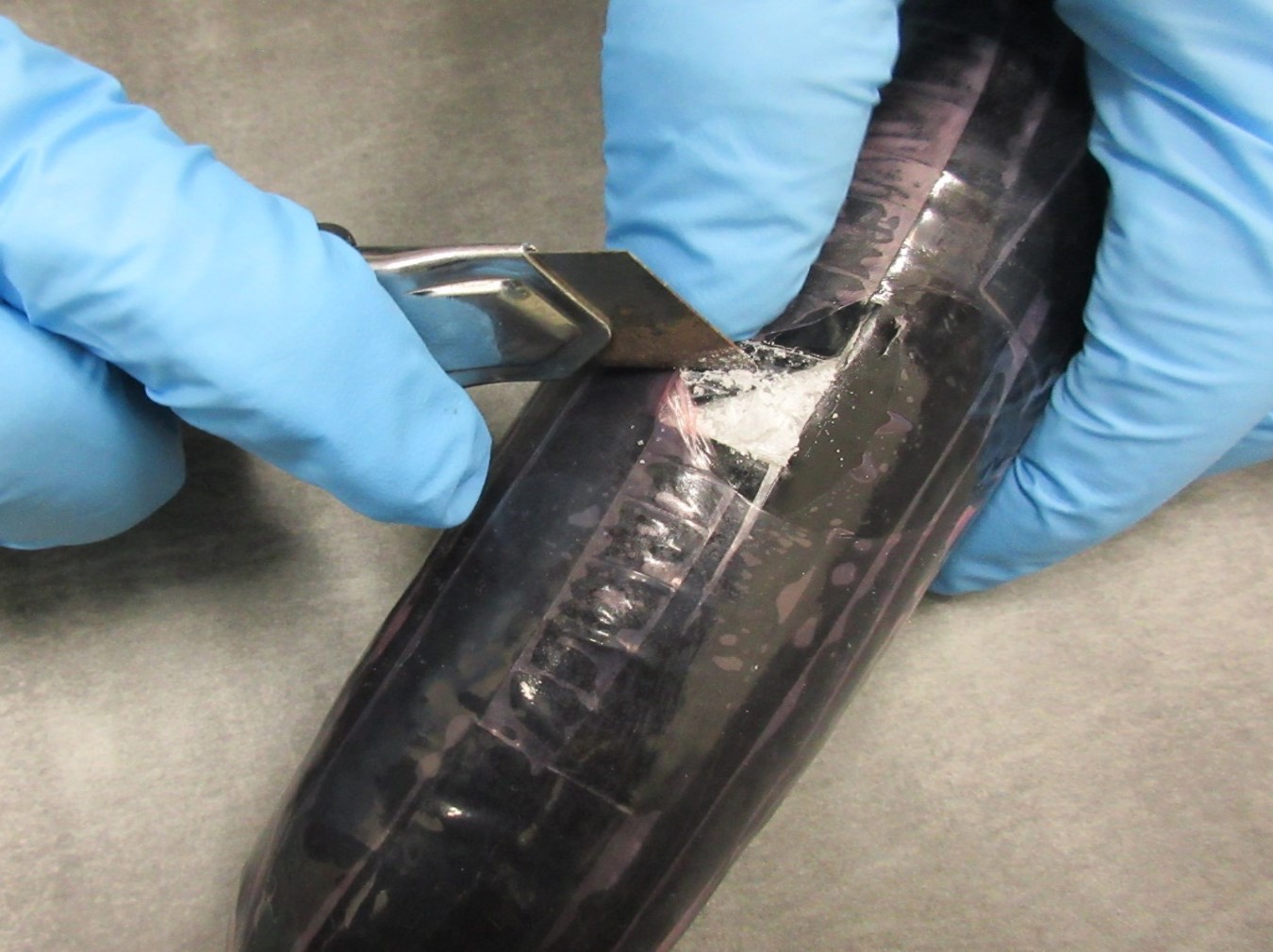 20190903Ŋ֔\@o܎ʐ^Q