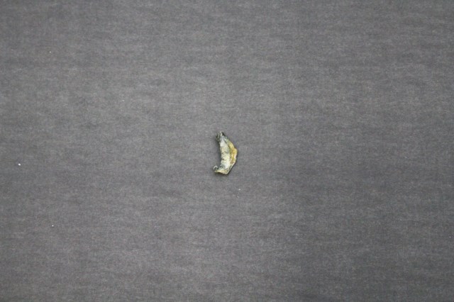 ������ܗL���邫�̂��ށi����2�j