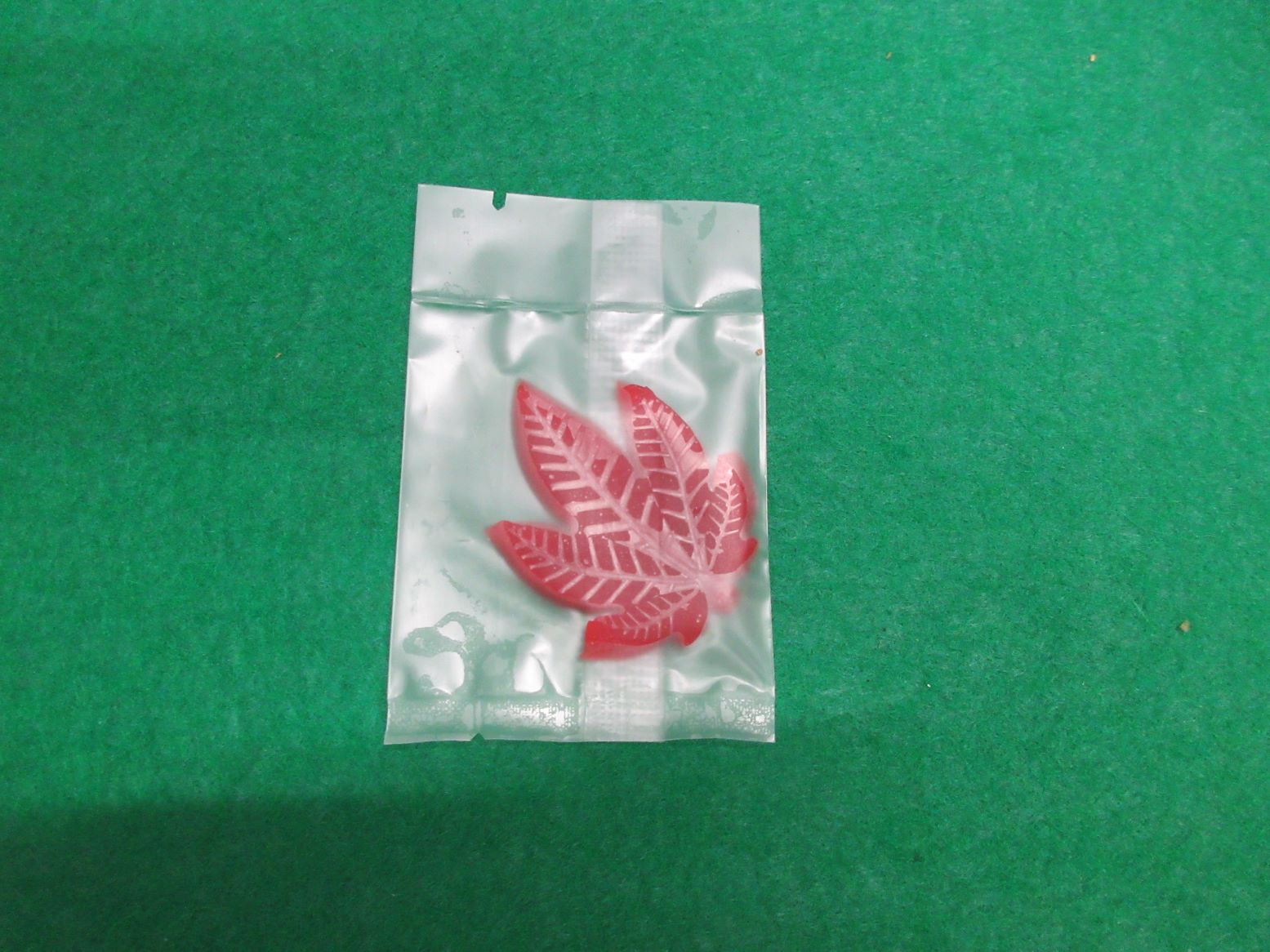 20260615yokohama.JPG