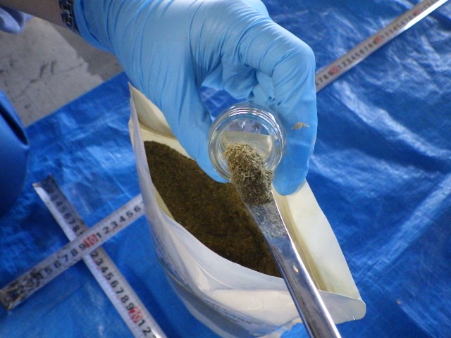 緑色粉末を採取した様子 緑色粉末を採取した様子