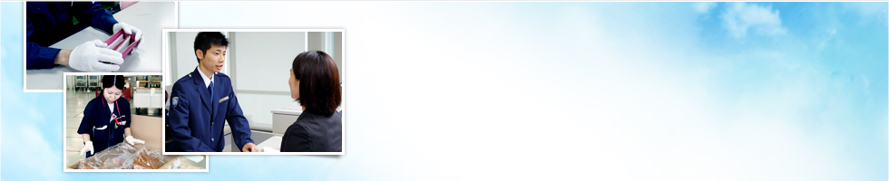 Image picture of IPR Border Enforcement by Japan Customs