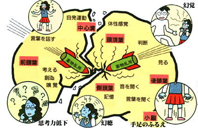 不正薬物の恐ろしさ 税関 Japan Customs