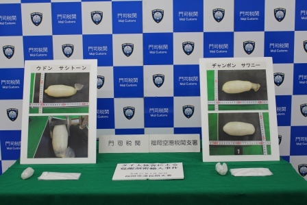 ���������o����