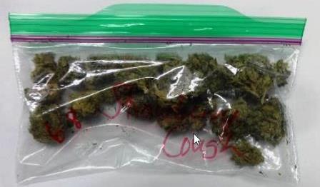 押収した大麻2