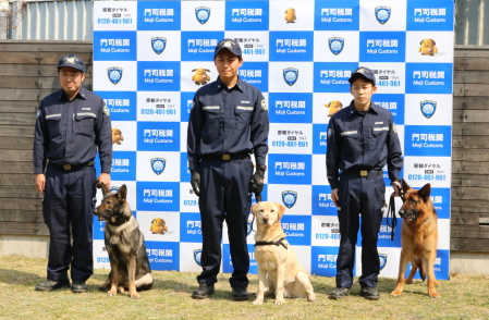 iŊւɐVKzꂽTmyєTm̏Wʐ^