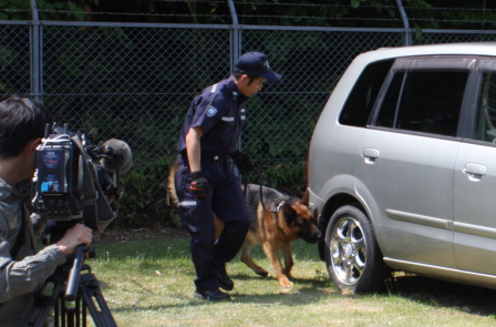 TmɂfXg[V̗lqiԓɔPj