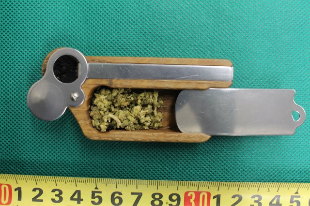 �Ƒ������̑S�i