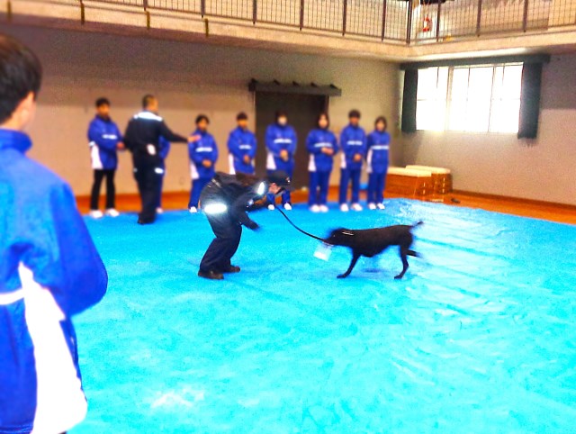 ����T�m���f�����X�g���[�V�����̗l�q