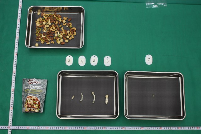 �܂̒��g���o�����󋵁i�S�̐}�j