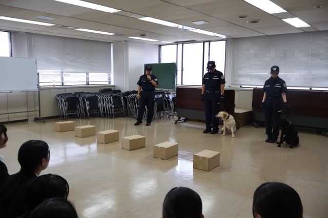 麻薬探知犬によるデモンストレーションの様子@