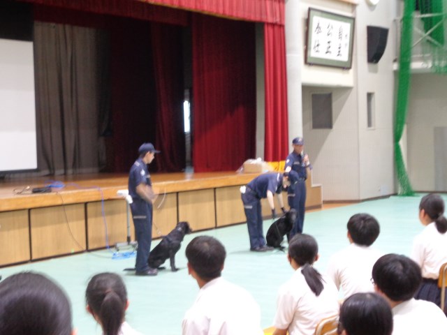 麻薬探知犬によるデモンストレーションの様子