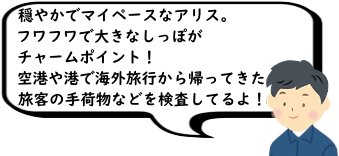 ₩Ń}Cy[XȃAXBttő傫Ȃۂ`[|CgI``ŊCOsAĂq̎וȂǂĂI